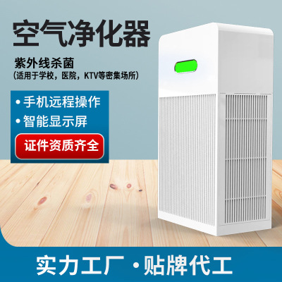 New Creative Air Purifier Household Anion Intelligent Formaldehyde Removal Gift Purifier One Hand Supply Wholesale