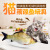 Amazon's Same Electric Fish Funny Cat Simulated Fish Beating Fish USB Jumping Fish Cat Toy Factory Direct Supply