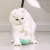 New Pet Cat Electric Cat Teaser Tumbler Food Dropping Ball Toy Function Feeder Wholesale