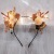 New Christmas Antler Hairband Internet Celebrity Elk Winter Glowing Headdress Christmas Ornaments Hairpin Hair Ornaments Hot Sale