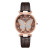 New Fashion Simple Belt Women's Watch Fashion Temperament Glitter Face Butterfly Pattern Quartz Lady Leather-Belt Watch