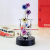 Colorful Ball Ferris Wheel Perpetual Motion Instrument Celestial Model without Wiggler Creative Domestic Ornaments Wholesale