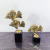 New Chinese Style Copper Ginkgo Leaf Crystal Base Decoration Living Room Modern Study Soft Decoration Model Hotel Home Decoration