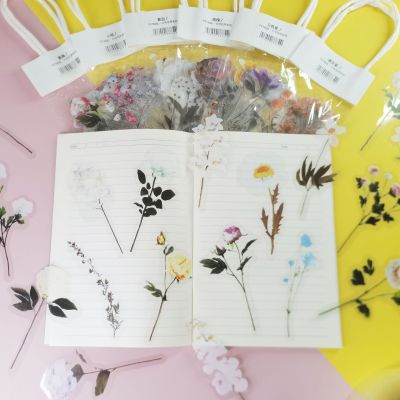 Spot Clearance Wholesale Six Kinds of Flowers Sticker Package Pet Waterproof Notebook Six Flower Words DIY Hand Account