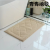 Ultra-Fine Jacquard Absorbent Floor Mat, Carpet