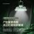 Table Lamp Charging Lamp Fan USB Summer Student Dormitory Cool Lighting Heat Dissipation Practical Gift
