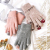 Factory Direct Sales Touch Screen Knitted Gloves Winter Women's Double Wall Cute Jacquard Windproof Thermal Gloves