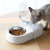 Dog Basin Dog/Cat Bowl Double Bowl Automatic Drinking Water Dog Bowl Cat Water Bowl Anti-Tumble Rice Basin Pet Supplies