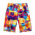 Summer Beach Pants Men's Quick-Drying Seaside Boardshort Casual Large Size Fifth Pants Couple Shorts Beach Pants Cross-Border