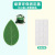 Green Radish Climbing Wall Holder Household Seamless Climbing Wall Fixed Vine Green Plant Wall Climbing Leaves Creative Cord Manager