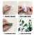 Green Radish Climbing Wall Holder Household Seamless Climbing Wall Fixed Vine Green Plant Wall Climbing Leaves Creative Cord Manager