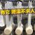 Japanese Non-Printed Long Handle Bath Brush Suit Bath Brush Bath Brush Adult Back Cleaning Brush Good Product Bath Brush