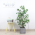  Simulation Money Tree Home Simulation Green Plant Artificial Potted Plastic Green Plant Fake Trees Eucalyptus Tree