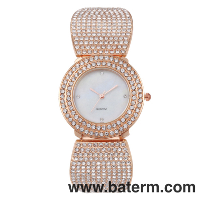 Cross-Border Luxury Fashion and Fully-Jewelled Watch Women's European and American Simple Dial Gypsophila Watch Diamond Quartz Watch