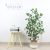  Simulation Money Tree Home Simulation Green Plant Artificial Potted Plastic Green Plant Fake Trees Eucalyptus Tree
