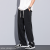 Summer Thin Casual Wide Leg Men's Straight Loose Trendy Ice Silk Lyocell Tencel Sports Mop Pants