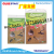 Ri Teng Glue Mouse Traps Rat Killer Board Mouse Sticker Mouse Glue Glue Board Glue Mouse Traps Ri Teng