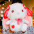 Lolita Little White Rabbit Plush Toy Doll Girl Puppet Doll Valentine's Day Gift for Girlfriend Children's Day