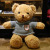 Little Bear Doll Doll Teddy Bear Stuffed Doll Qixi Valentine's Day Get Gift for Girlfriend Night Market Wholesale