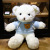 Little Bear Doll Doll Teddy Bear Stuffed Doll Qixi Valentine's Day Get Gift for Girlfriend Night Market Wholesale