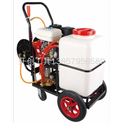 Disinfection Cart Type Hand Push Electric Spray Insecticide Machine High Pressure Agricultural Gasoline Power Sprayer