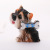 Spot Cross-Border Metal Dog Tag Ornaments Pet Collar Pendant Zinc Alloy Bone Pendant Lettering Identity Nameplate