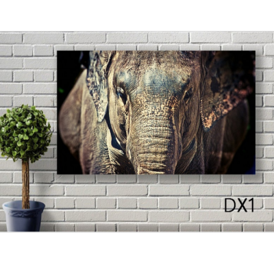 Elephant Decorative Painting Photo Frame Decorative Crafts Canvas Decorative Painting Cloth Painting Decorative Mural Hanging Picture Decoration Calligraphy and Painting