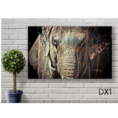 Elephant Landscape Painting Craft Frame Canvas Painting Mural Painting Pendant Wall Painting Modern Minimalist Architectural Flowers