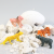 Archeological Fossil Dinosaur Egg Wild Animal Excavation Archeological Educational Toys Handmade DIY Scientific and Educational Toy
