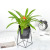 Nordic Creative Simple Indoor Desktop Flowerpot Decoration Home Decoration Iron Flower Stand Iron Bucket Large