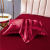 Silk Pillow Case Ice Silk Pillowcase One-Pair Package Washable Summer Double-Sided Washed Plain Single Double Color 48*74