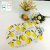 Composite Oval Printed Placemat Household Insulation Mat Moisture-Proof Waterproof Anti-Scalding Table Mat Dining Tablecloth Non-Slip Cloth