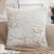Amazon Cross-Border Living Room Plush Pillowcase Double-Sided Gilding Bedside Cushion Bedroom Sofa Cushion Cover Wholesale