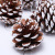 Christmas Pine Cone Pendant Christmas Tree Decorations 6-7cm Natural Snowflake Wooden Pine Cones 6 Pcs/bag