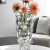 Chuguang Glass Crystal Glass Vase Home Decoration Glass Vase Hydroponic Vase