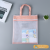 Mesh Texture Hand-Carrying Document Notes Test Paper Storage Bag Portable Compact Tutorial Information Bag Factory Direct Sales