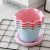 Colored Resin Plastic Small Flower Pot Succulents Roman Style Wave Lace Flower Pot Tray