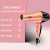 Lzzo International Electric Hair Dryer Household High-Power Hair Salon Salon Quick-Drying Hair Care Styling Essential