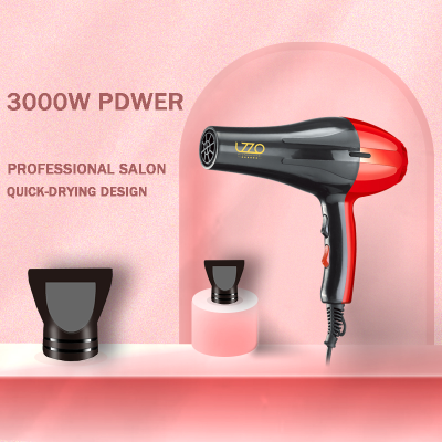 Lzzo International New Salon Professional Dedicated Hair Dryer 3000W Large Power Household Lightweight Quick-Drying