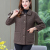 Middle-Aged Women's Autumn and Winter Clothing Fleece Coat Mother Cashmere Loose Large Size 40-Year-Old Lamb Fur One-Piece Top