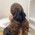 Korean Chiffon Starry Cloth Hairpin Sweet Elegance Oversized Bow Hair Clip Back Head Spring Clip Top Clip