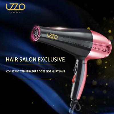 Lzzo International Hair Salon Salon Professional Hair Dryer 3000W Household Quick-Drying