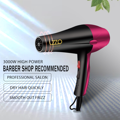 Lzzo International Professional High-Power 3000W Constant Temperature Hair Salon Household Hair Dryer