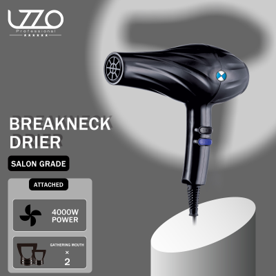 Lzzo International Professional Hair Salon Electric Hair Dryer Household High Power 4000W Constant Temperature