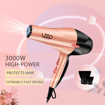 Lzzo International Electric Hair Dryer Household High-Power Hair Salon Salon Quick-Drying Hair Care Styling Essential