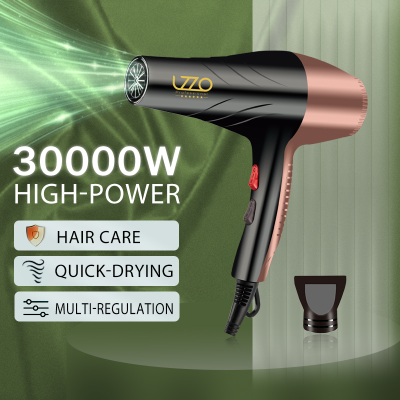 Lzzo International Household Electric Blower 3000W Power Barber Shop Hair Salon Professional Hair Dryer