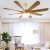 Zhongshan Factory Ceiling Fan Lights Home Living Room Dining Room Bedroom with Fan-Style Ceiling Lamp Integrated Frequency Conversion Commercial Electric Fan Lamp