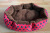 Pet Bed Dot Octagonal Polka Dot Spring and Summer Available Dog Mat Plush Soft Durable Cat Nest Mat Pet Bed