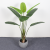 Nordic Style Indoor Emulational Greenery Bonsai Plastic Ravenala Banana Tree Canna Bonsai Big Leaf Green Plant