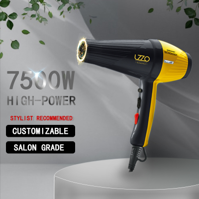 Lzzo International Electric Hair Dryer 7500W Large Power Quick-Drying Factory Direct Sales for Home Barber Modeling